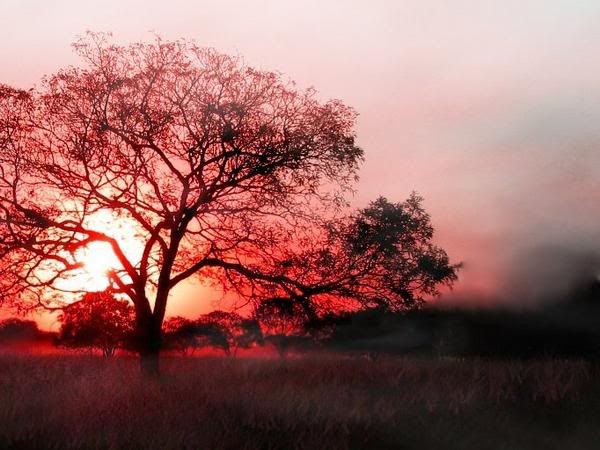 Beautiful Landskape Pictures, Images and Photos