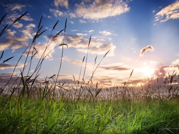 Beautiful Landskape Pictures, Images and Photos