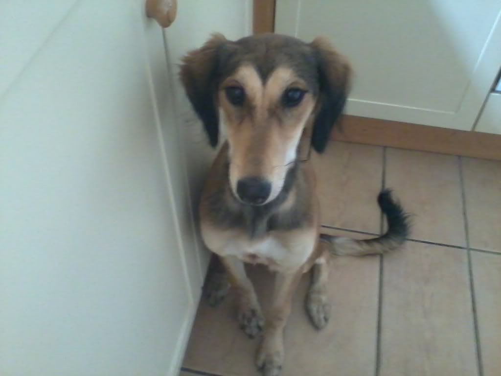 2011-05-28101058.jpg