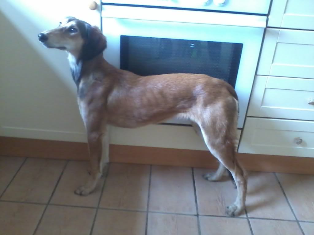 2011-05-28101202.jpg