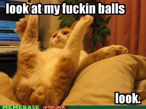 Forum Image: http://i614.photobucket.com/albums/tt223/maggot-life/funny/naughty-memes-dont-stop-looking.jpg