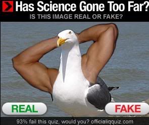 loolololl.jpg