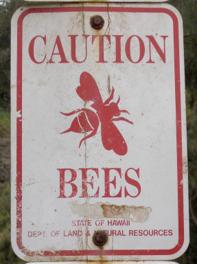 caution bees!