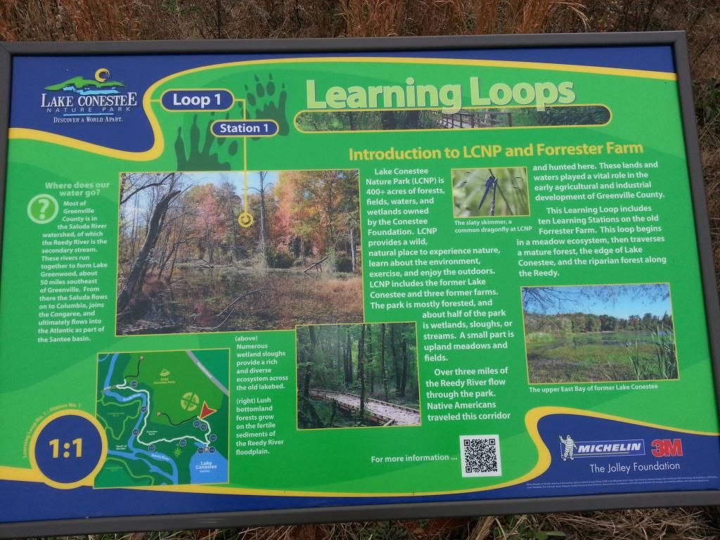  photo 20140101_153423_zpsa48ea79d.jpg