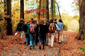  photo Group_zps52275ead.jpg