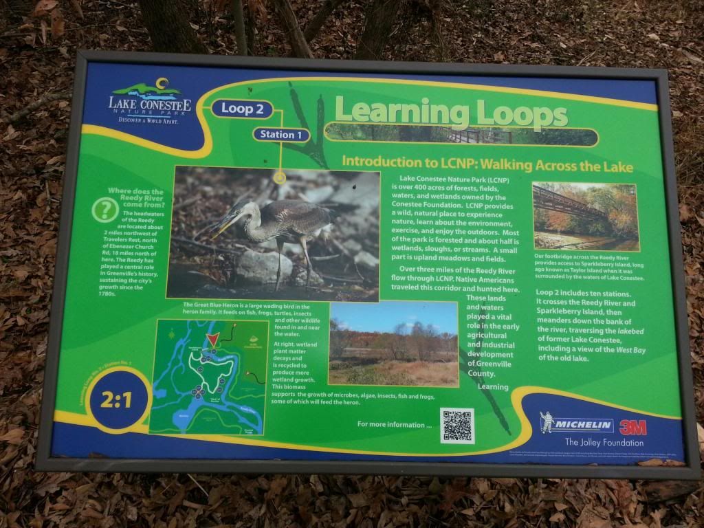  photo LearningLoop21_zpsfbe6f55e.jpg