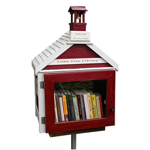  photo Picture of Little Free Library_zpshuijxduo.jpg