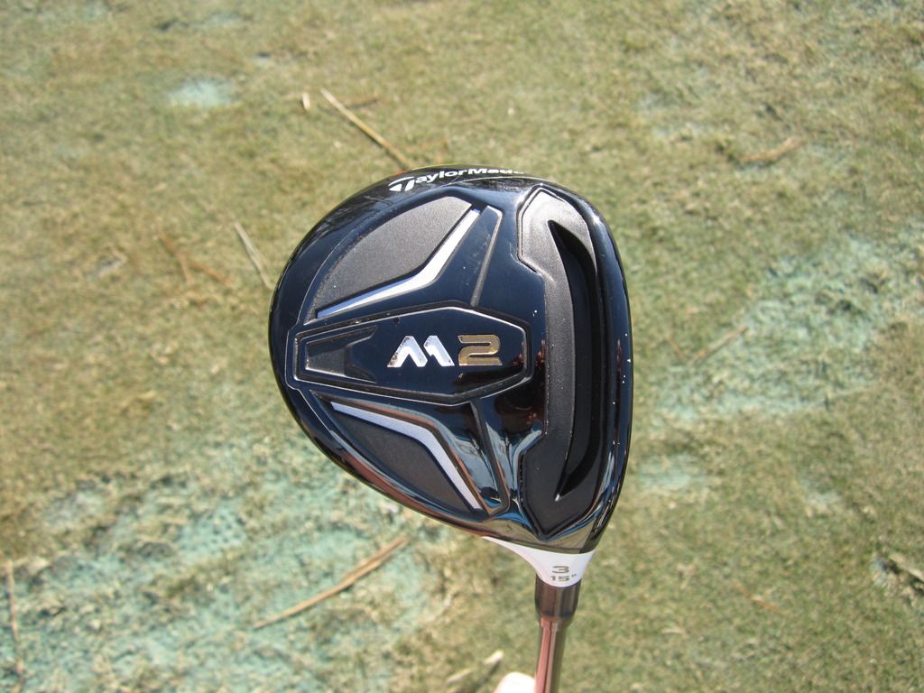 IMG_0479_zpsz3iqfrcz.jpg?t=1453683521