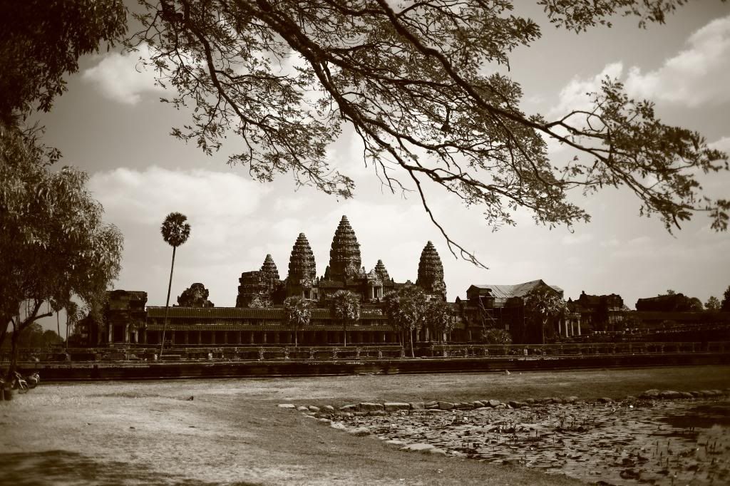  photo 2013-01-19_AngkorWat_110_zps0a7dcfad.jpg