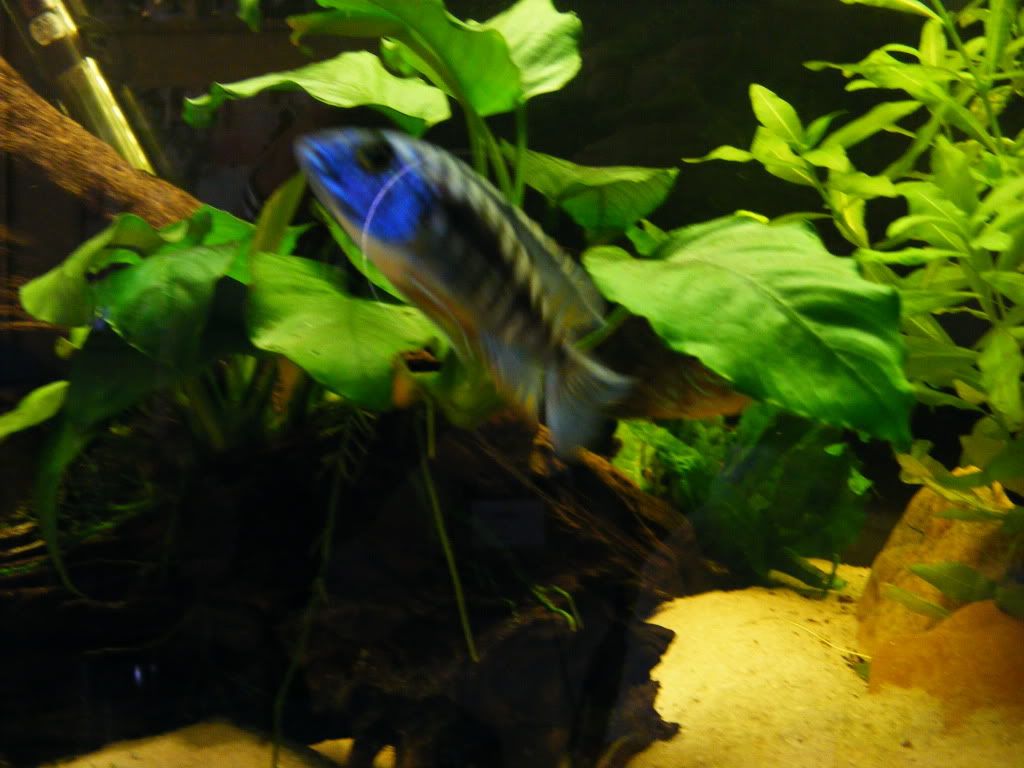 DSCF2292.jpg