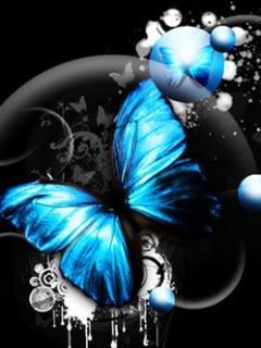 Blue_Butterfly_2.jpg