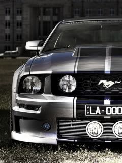 Ford_Mustang.jpg