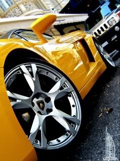 Lamborghini_Gallardo.jpg