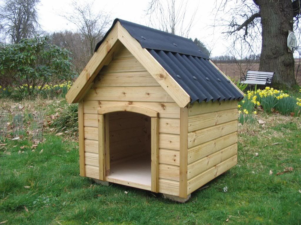Dog Kennels to the PerthshirePoultry Shop