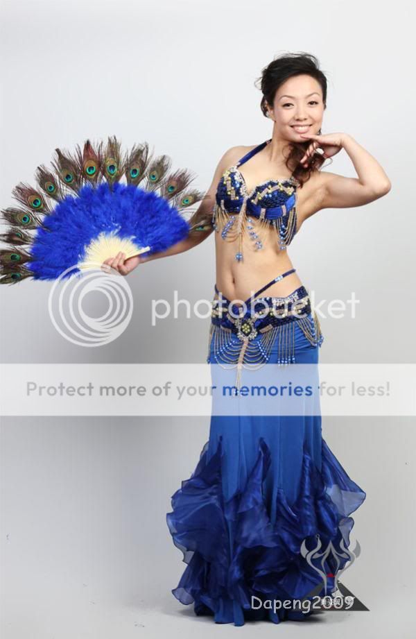 Belly Dance Costume Bra & Belt & Fishtail Skirt Dp0497  
