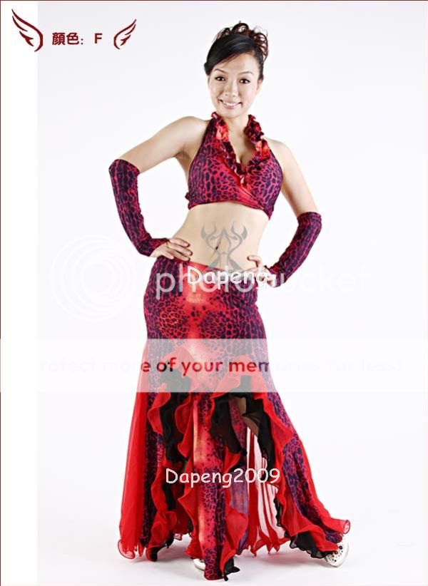 Belly Dance Costume 3pcs SetBra + Fishtail Skirt + Arm Gloves Dp1014 