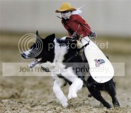 monkey_cowboy.jpg