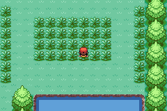 [PokeCommunity.com] Team Faze