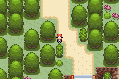 [PokeCommunity.com] Chaos Productions