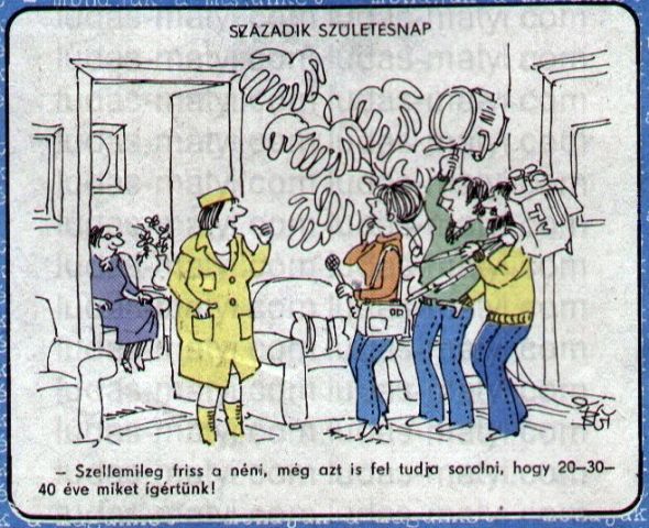 Tvn idol társkereső show