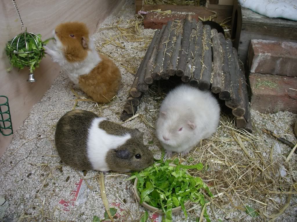IMGP2849.jpg