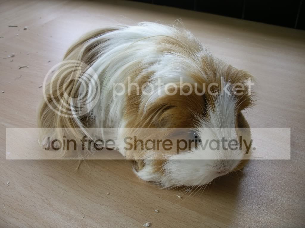 IMGP3162.jpg