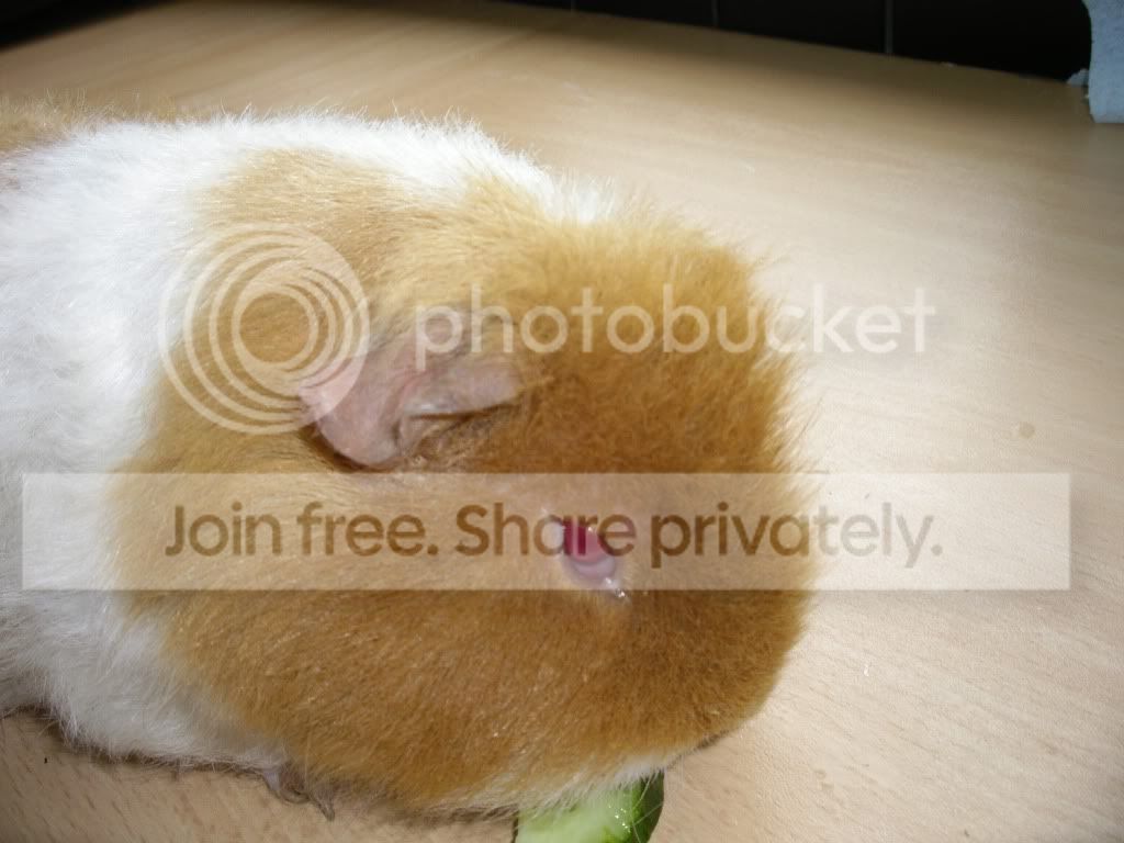 IMGP3214.jpg
