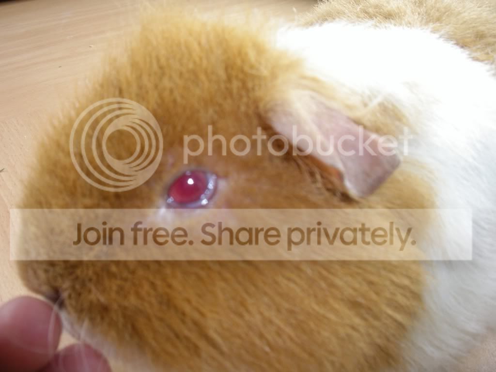 IMGP3217.jpg