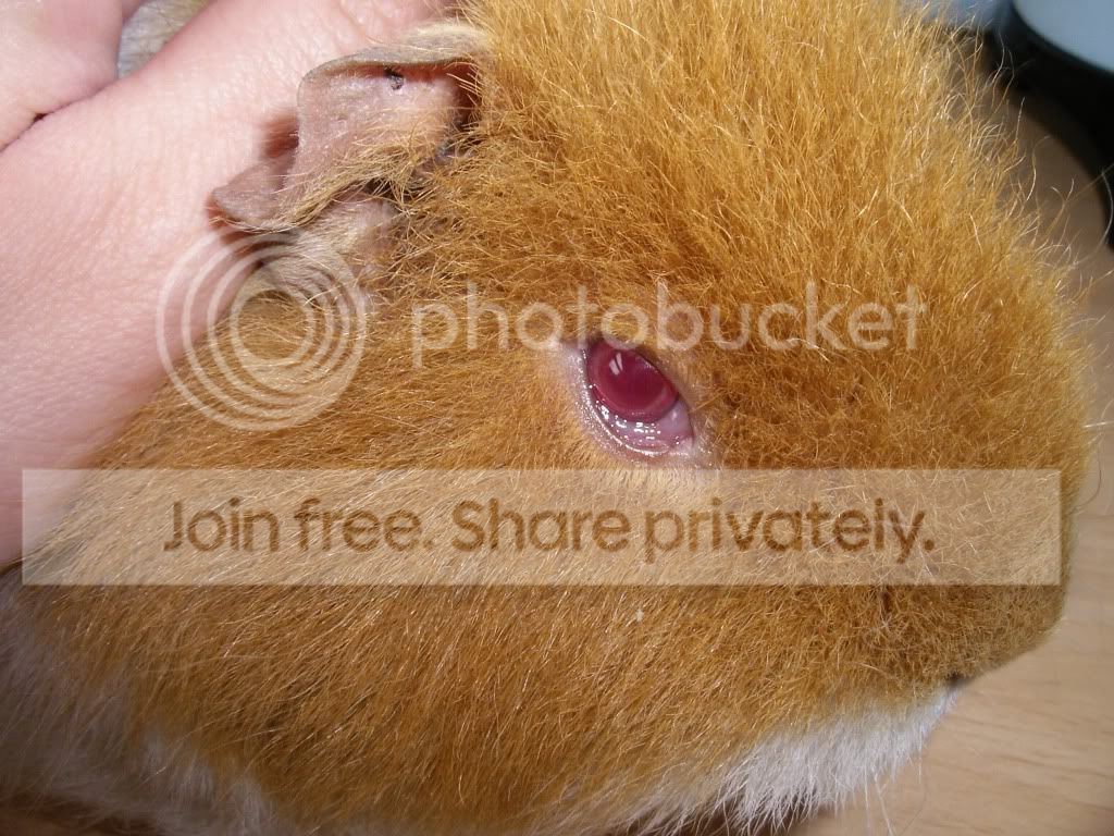 IMGP3218.jpg