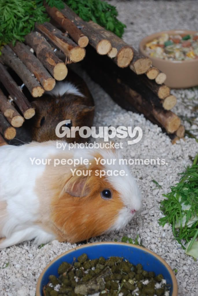 zzzzzz004.jpg